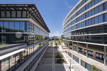 Image d'en-tête