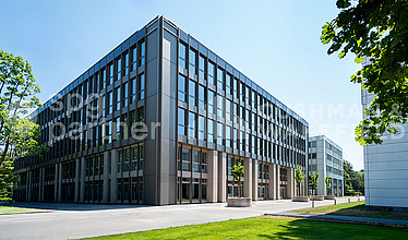 Image d'en-tête