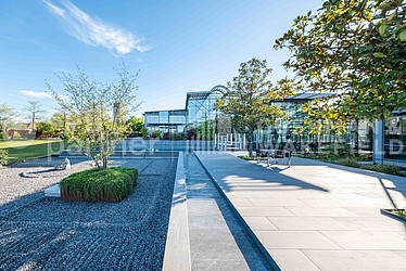 Image d'en-tête