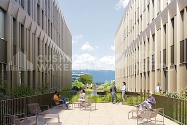 Image d'en-tête