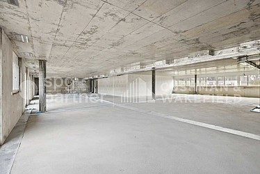 Image d'en-tête