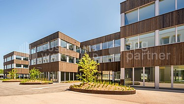 Image d'en-tête