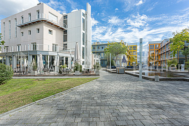 Image d'en-tête