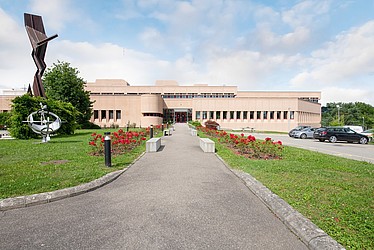 Image d'en-tête