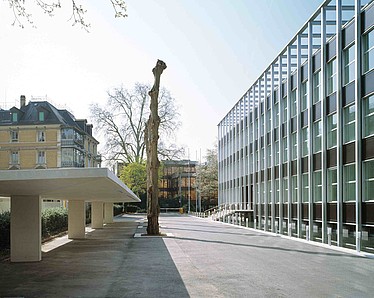 Image d'en-tête