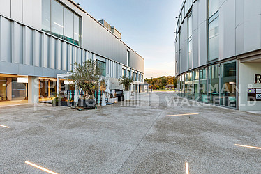 Image d'en-tête