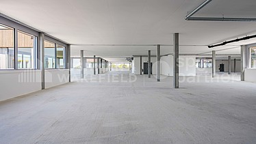 Image d'en-tête