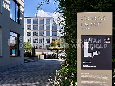 Image d'en-tête