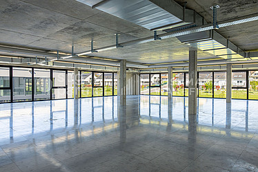 Image d'en-tête