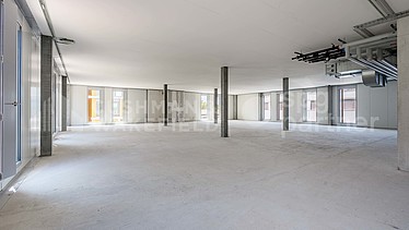Image d'en-tête